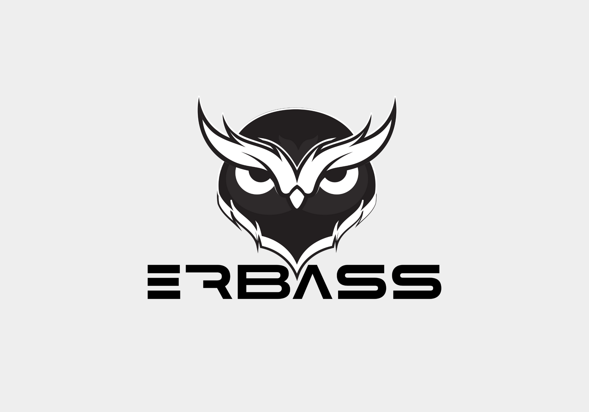 ERBASS-PARCEIRO-CARROSSEL_SITE